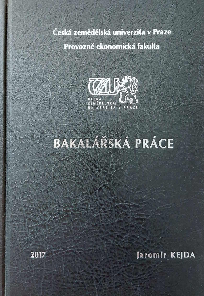 Bakalářská práce