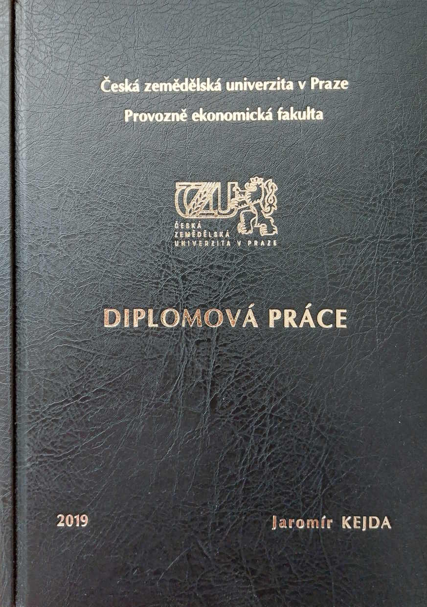 Diplomová práce